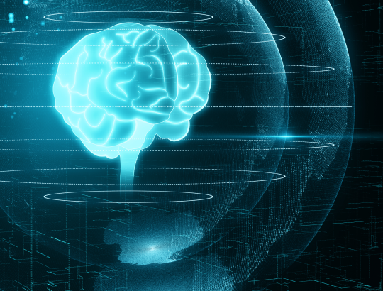 Конференция «Реабилитация в клинических примерах в неврологии и психиатрии»